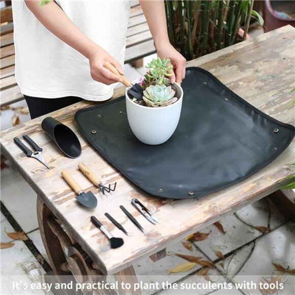 11Pcs Succulent Tools,Garden Tools,Succulent Watering Tool as Plant Accessories - Picture 5 of 7